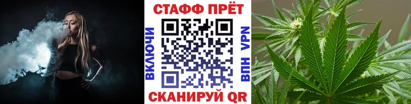 Какие есть наркотики Светлогорск omg ССЫЛКА  Амфетамин  ГАШ  Меф  Кокаин  Бошки Шишки  Псилоцибиновые грибы 