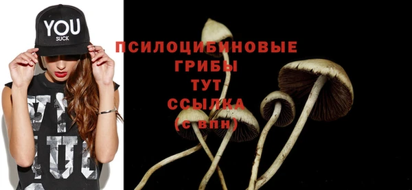 а пвп мука Богородицк