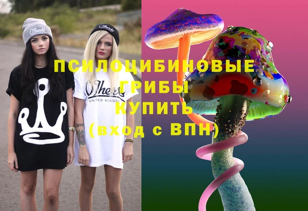 гидропоника Богданович