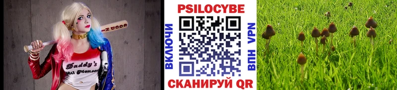 Псилоцибиновые грибы GOLDEN TEACHER  Светлогорск 