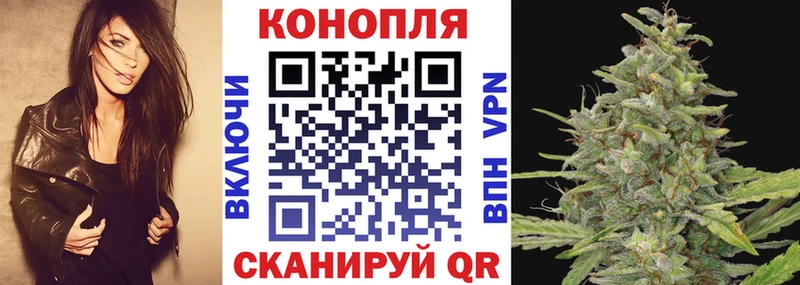 где найти наркотики  Светлогорск  Бошки Шишки MAZAR 